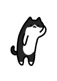 Tuxedo cat  Theme