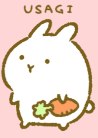 *USAGI*