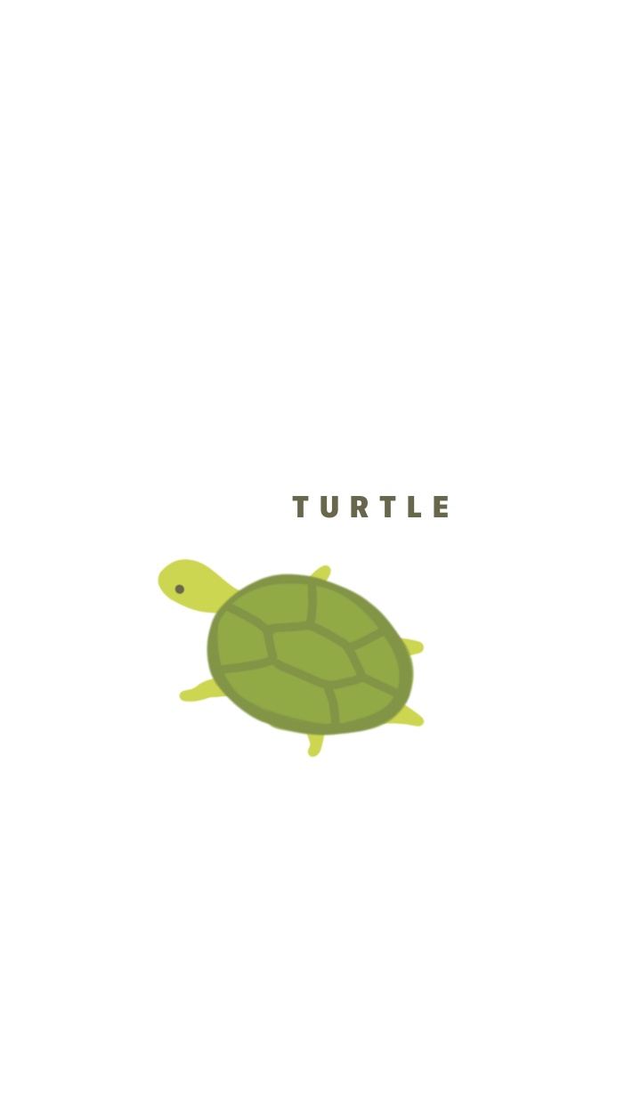 Green and Turtle