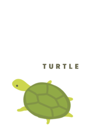 Green and Turtle