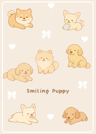 brown Friendly Dog-Dogs 02_2