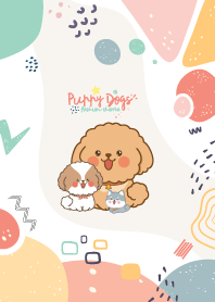 น้องหมา แฟชั่น คิ้วๆ