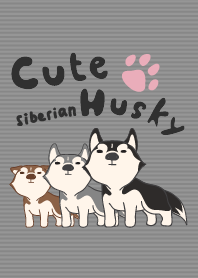 Cute Siberian Husky