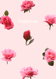 ピンクローズ写真きせかえ