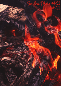Bonfire Photo #4-21 Not AI