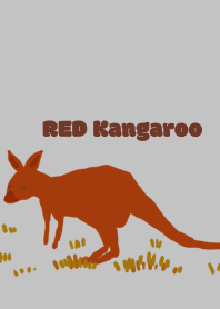 Red Kangaroo