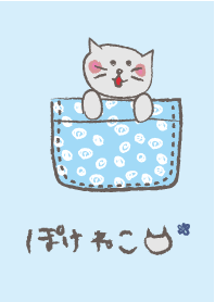 Pocket cat