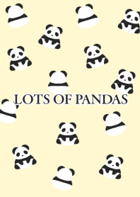 LOTS OF PANDAS/LIGHT YELLOW