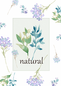 The World of Flowers in Watercolor5.