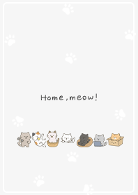 Relaxing Kitten at Home 01_2