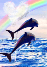 lucky rainbow Sea