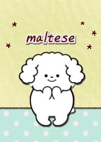 いぬとも/マルチーズ犬の着せ替え1ベージュ