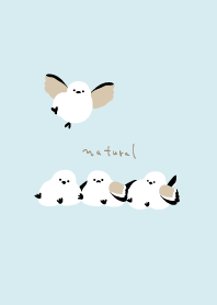 Long-tailed Tit line up5 from Japan