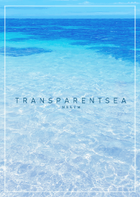TRANSPARENT SEA 2