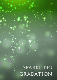 SPARKLING GRADATION THEME /24