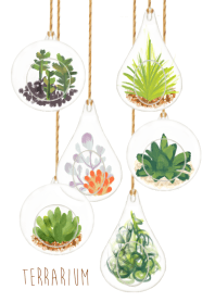 Terrarium