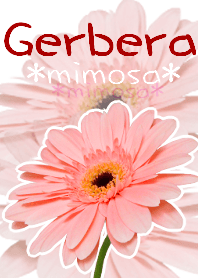 *Flower* Gerbera #01