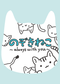 のぞきねこ。