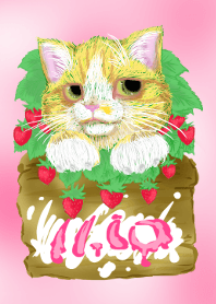 November 10~anniversary,birthday~