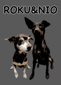 ROKU&NIO B