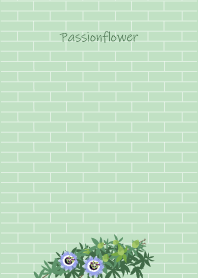 June birth flower,Passionflower