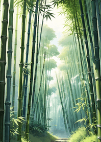 Morning Night mbamboo forest