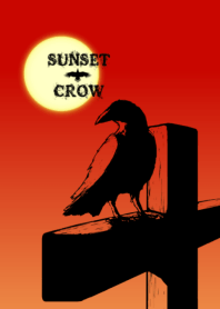 Sunset crow