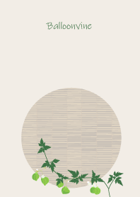 September's birth flower, Balloonvine