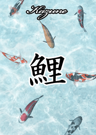 Kazune Japanese style carp