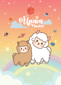 อัลปากา รุ้งสีฮอทพาสเทล