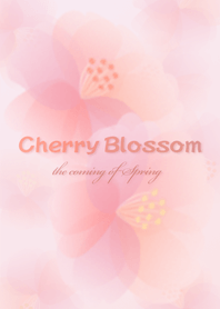 Cherry Blossoms ~the coming of Spring