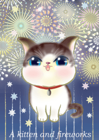 A kitten and summer fireworks