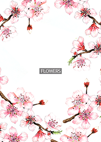 water color flowers_659