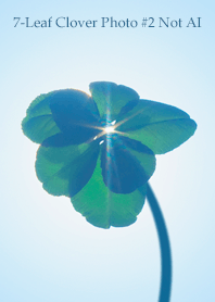 7-Leaf Clover Photo #2-21Not AI