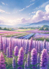 Beautiful nature  flower field no.42