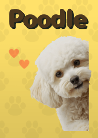 ธีมพุดเดิ้ลทอย Yellow 04