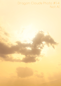 Dragon Clouds Photo#1-4Not AI