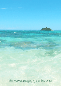 Hawaiian ocean is so beautiful -shell-17