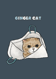 gingercat7 - indigo