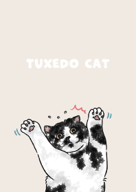 tuxedocat2 - cream