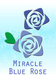 Miracle Blue Rose