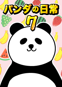 แพนด้าทุกวัน 7!