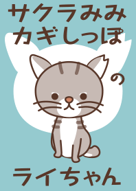 Theme of a bobtail cat