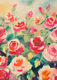 Beautiful rose flower(R4165)