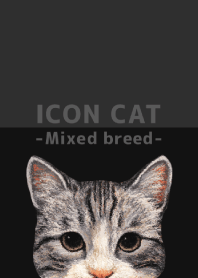 ICON CAT - Mixed breed cat - BLACK/05