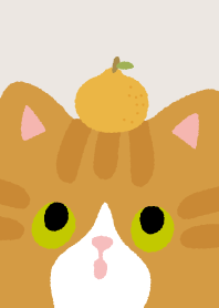 Lucky Orange Cats