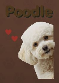 ธีมพุดเดิ้ลทอย Brown 01