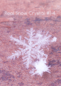 Real Snow Crystal #1-4