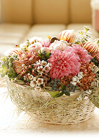 theme【flower】16