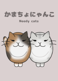 かまちょにゃんこ